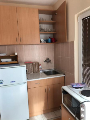 Apartment Lazarevića Buca